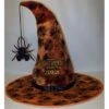 Disney Halloween Hat - Mickey's Not So Scary Halloween 2010 Witch -Decorative Accessories Store 4000008912241