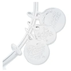 Disney Alex And Ani Bracelet - Chip N Dale 2018 - Silver -Decorative Accessories Store 63323203