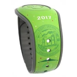 Disney Magicband 2 - 2017 Disney Springs Holiday -Decorative Accessories Store 63337d1