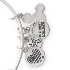 Disney Alex And Ani Bracelet - Lilo & Stitch - Stitch And Angel -Decorative Accessories Store 93946203